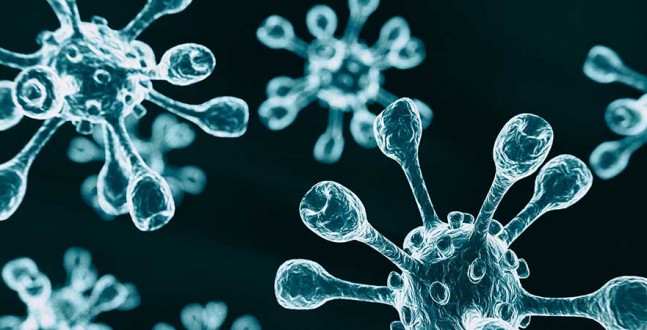 Coronavirus: COVID-19 Response and Reopening for Business Liability Protection Coronavirus: COVID-19 Response and Reopening for Business Liability Protection